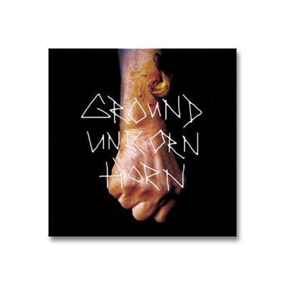 Ground Unicorn Horn - Damn I Wish I Was Fat | CD