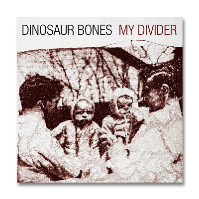 Dinosaur Bones - My Divider | CD