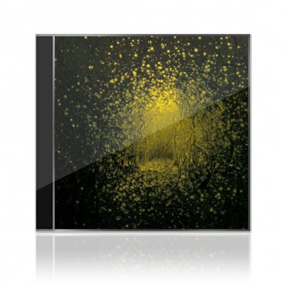 The Antlers - Burst Apart | CD