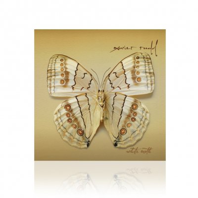 Xavier Rudd - White Moth | CD