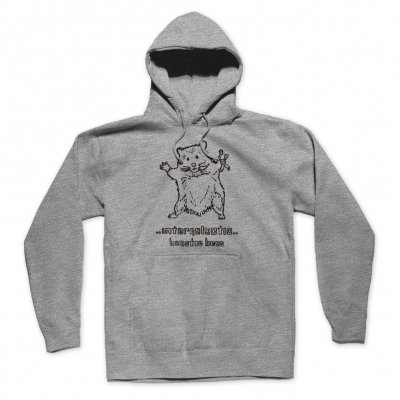 beastie-boys - Hello Nasty X Naijel Graph Rat Grey | Hoodie