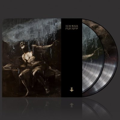 ILYAYD | 2xPicture Vinyl