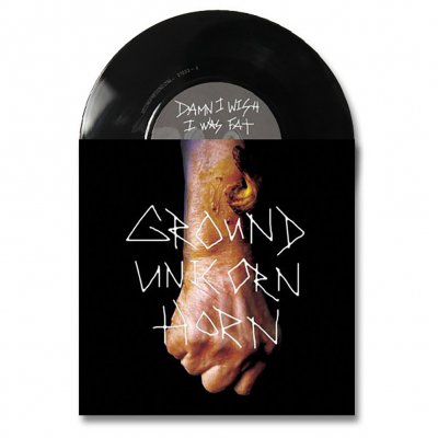 Damn I Wish I Was Fat | 7 Inch