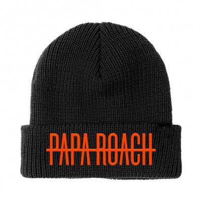 papa-roach - WDYT Black | Knit Beanie