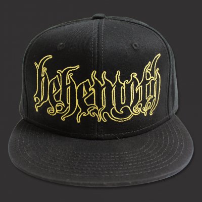 Logo Snap Back Hat (Black)