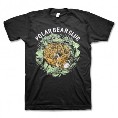 polar-bear-club - Sleeping Fox