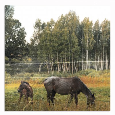 Pianos Become The Teeth - Old Pride CD