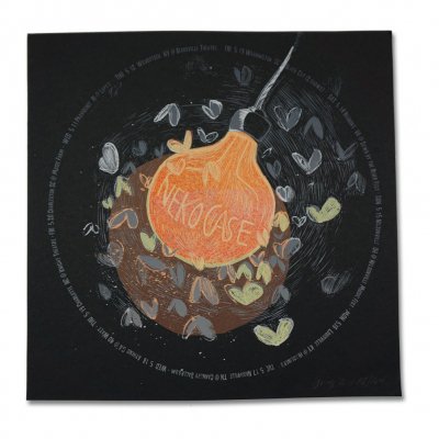 Neko Case - 2011 Spring Tour Print