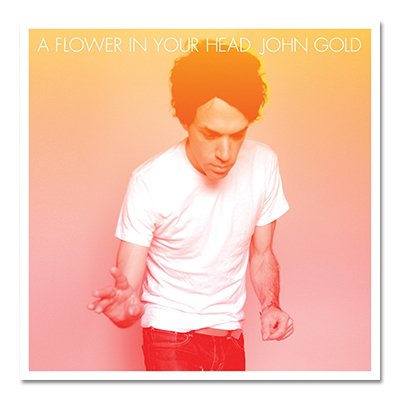 A Flower In Your Head CD