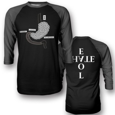 Stomach Flowers Raglan (Black/Grey)