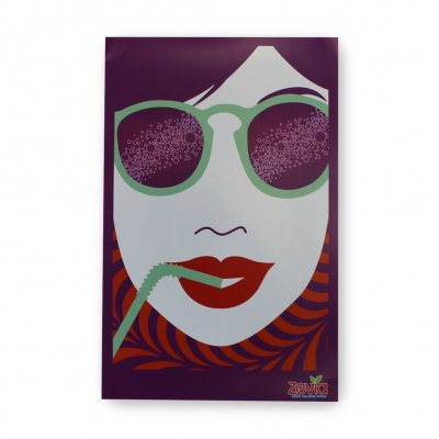 zevia - Z Girl Poster