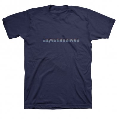 Peter Silberman - Impermanence T-Shirt (Navy)