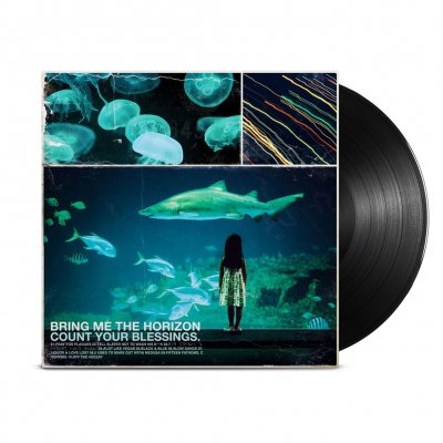 Count Your Blessings LP (Black)