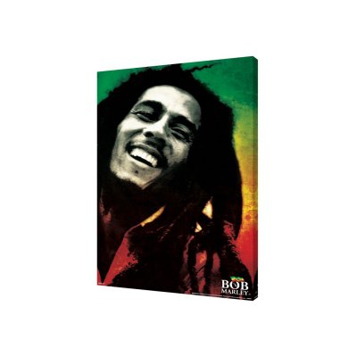 Bob Marley - Paint 24x36 Canvas