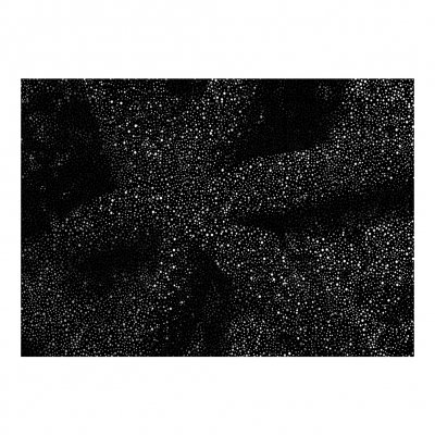FC St Pauli - Viva Con Agua Print (Daniel Boyd)