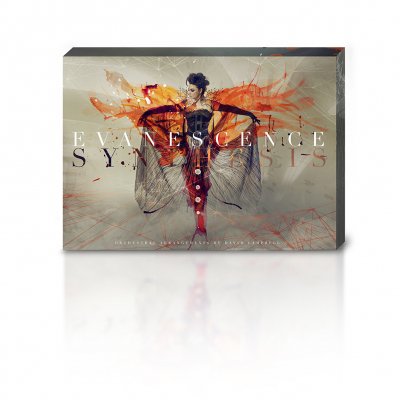 Synthesis Deluxe Box Set