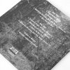 IMAGE | And the Forests Dream Eternally LP (Clear) - detail 2